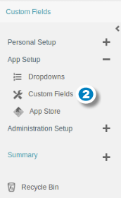 Add Custom Fields 2